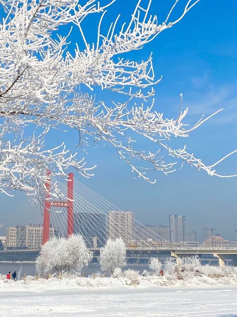 吉林,青春足迹的吉林情缘